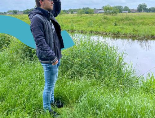 Van natte voeten naar zonneschijn