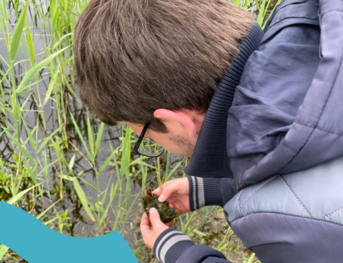 Blik op de Aa: Kevin